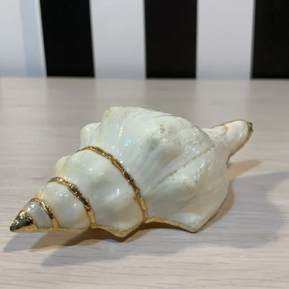 Vintage 1970s Real Shell Belt Buckle Ivory & Gold Nautical Coastal Beach Vibe - Picture 14 of 17